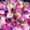 Extra Large Design With Peonies