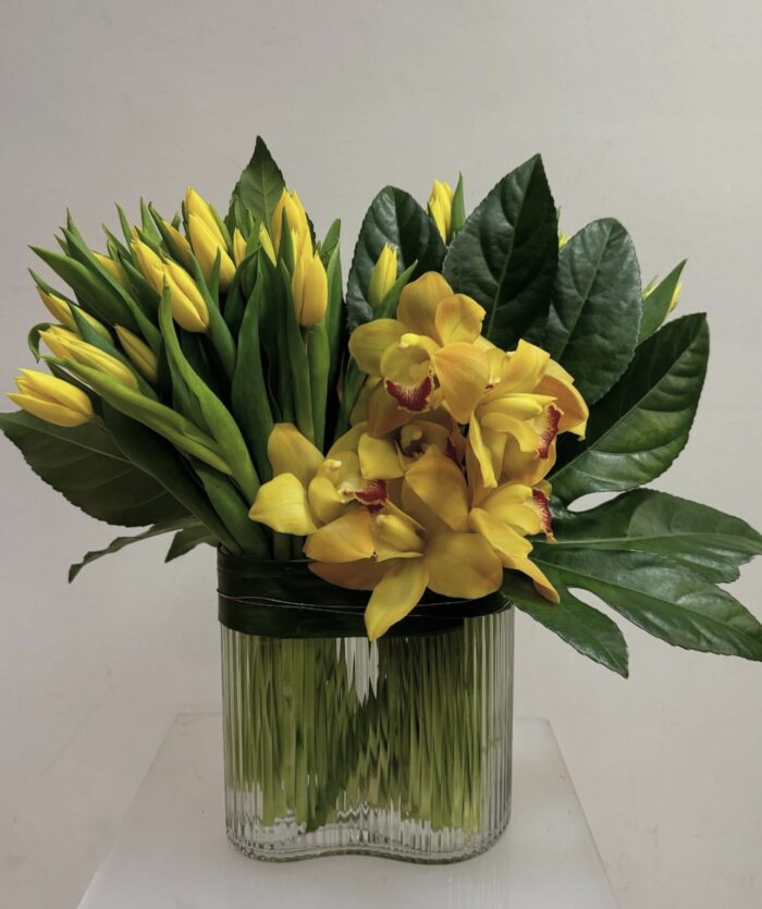 Tulips and Phalaenopsis arrangement
