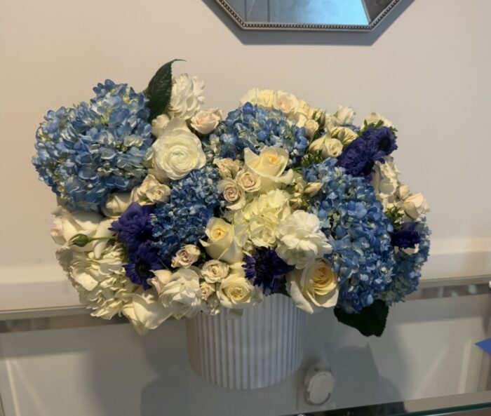 The glamour of  hydrangeas