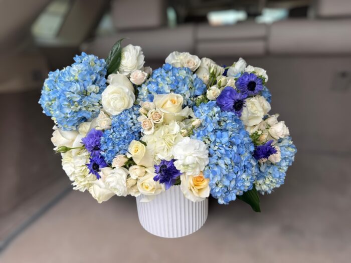 The glamour of  hydrangeas - Image 3