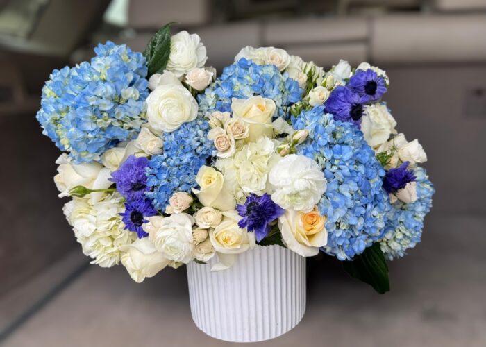 The glamour of  hydrangeas - Image 2
